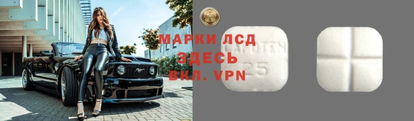 альфа пвп Новодвинск