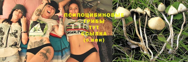 альфа пвп Новодвинск
