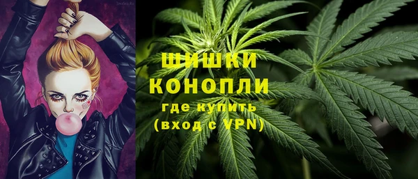 альфа пвп Новодвинск